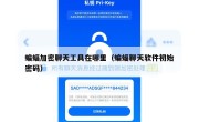 蝙蝠加密聊天工具在哪里（蝙蝠聊天软件初始密码）