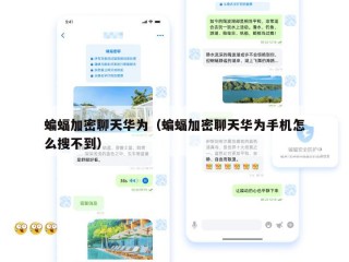 蝙蝠加密聊天华为（蝙蝠加密聊天华为手机怎么搜不到）