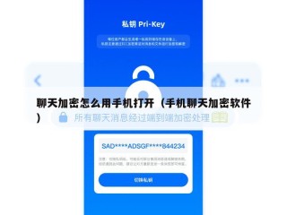 聊天加密怎么用手机打开（手机聊天加密软件）