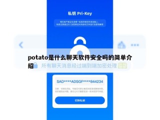 potato是什么聊天软件安全吗的简单介绍