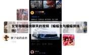 女生和蝙蝠侠聊天的视频（蝙蝠女与蝙蝠侠接吻）