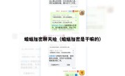 蝙蝠加密聊天哈（蝙蝠加密是干嘛的）