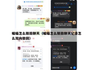 蝙蝠怎么销毁聊天（蝙蝠怎么销毁聊天记录怎么双向撤回）