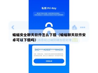 蝙蝠安全聊天软件怎么下载（蝙蝠聊天软件安卓可以下载吗）