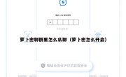 萝卜密聊群里怎么私聊（萝卜密怎么开启）