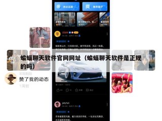 蝙蝠聊天软件官网网址（蝙蝠聊天软件是正规的吗）