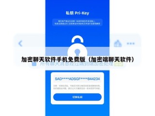 加密聊天软件手机免费版（加密端聊天软件）