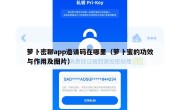 萝卜密聊app邀请码在哪里（萝卜蜜的功效与作用及图片）