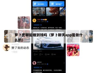 萝卜密聊能赚到钱吗（萝卜聊天app是做什么的）