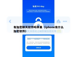 有加密聊天软件吗苹果（iphone有什么加密软件）