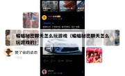 蝙蝠秘密聊天怎么玩游戏（蝙蝠秘密聊天怎么玩游戏的）