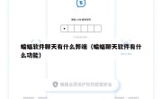 蝙蝠软件聊天有什么弊端（蝙蝠聊天软件有什么功能）