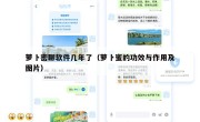 萝卜密聊软件几年了（萝卜蜜的功效与作用及图片）