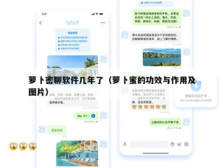 萝卜密聊软件几年了（萝卜蜜的功效与作用及图片）