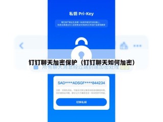 钉钉聊天加密保护（钉钉聊天如何加密）