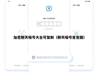 加密聊天暗号大全可复制（聊天暗号背景图）