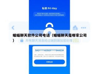 蝙蝠聊天软件公司电话（蝙蝠聊天是哪家公司）