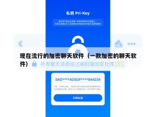 现在流行的加密聊天软件（一款加密的聊天软件）