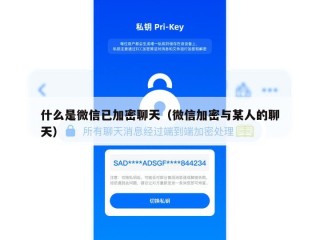 什么是微信已加密聊天（微信加密与某人的聊天）