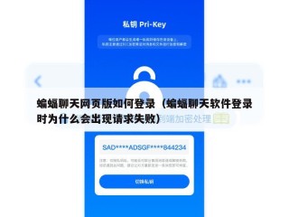 蝙蝠聊天网页版如何登录（蝙蝠聊天软件登录时为什么会出现请求失败）