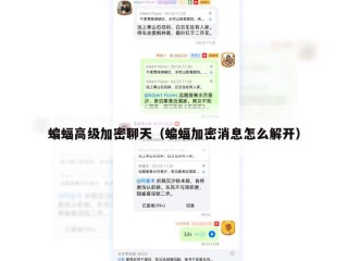 蝙蝠高级加密聊天（蝙蝠加密消息怎么解开）