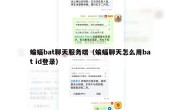 蝙蝠bat聊天服务端（蝙蝠聊天怎么用bat id登录）