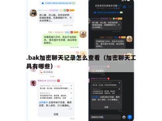 .bak加密聊天记录怎么查看（加密聊天工具有哪些）