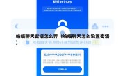 蝙蝠聊天密语怎么弄（蝙蝠聊天怎么设置密语）