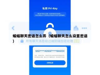 蝙蝠聊天密语怎么弄（蝙蝠聊天怎么设置密语）