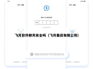 飞月软件聊天安全吗（飞月集团有限公司）