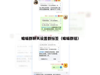 蝙蝠群聊天设置群标签（蝙蝠群组）
