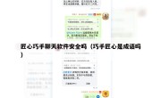 匠心巧手聊天软件安全吗（巧手匠心是成语吗）