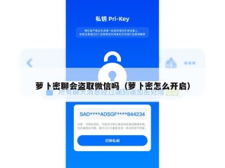 萝卜密聊会盗取微信吗（萝卜密怎么开启）