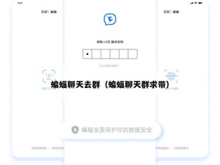 蝙蝠聊天去群（蝙蝠聊天群求带）
