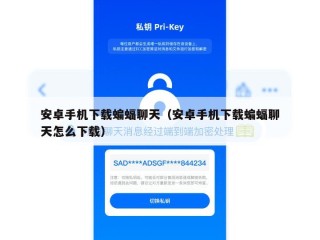 安卓手机下载蝙蝠聊天（安卓手机下载蝙蝠聊天怎么下载）