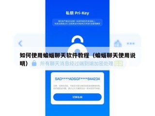 如何使用蝙蝠聊天软件教程（蝙蝠聊天使用说明）