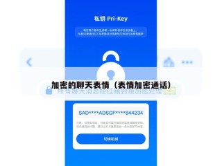 加密的聊天表情（表情加密通话）
