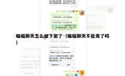蝙蝠聊天怎么被下架了（蝙蝠聊天不能用了吗）