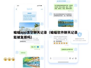 蝙蝠app清空聊天记录（蝙蝠软件聊天记录能被复原吗）
