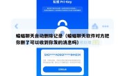 蝙蝠聊天自动删除记录（蝙蝠聊天软件对方把你删了可以收到你发的消息吗）