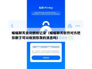 蝙蝠聊天自动删除记录（蝙蝠聊天软件对方把你删了可以收到你发的消息吗）