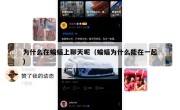 为什么在蝙蝠上聊天呢（蝙蝠为什么能在一起）