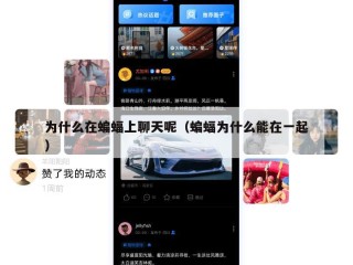为什么在蝙蝠上聊天呢（蝙蝠为什么能在一起）