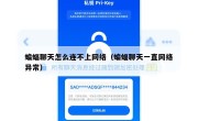 蝙蝠聊天怎么连不上网络（蝙蝠聊天一直网络异常）