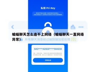 蝙蝠聊天怎么连不上网络（蝙蝠聊天一直网络异常）