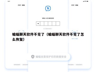 蝙蝠聊天软件不见了（蝙蝠聊天软件不见了怎么恢复）